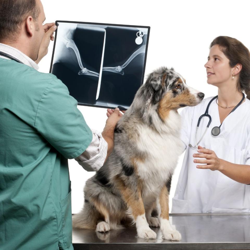 tendercareradiography.jpg